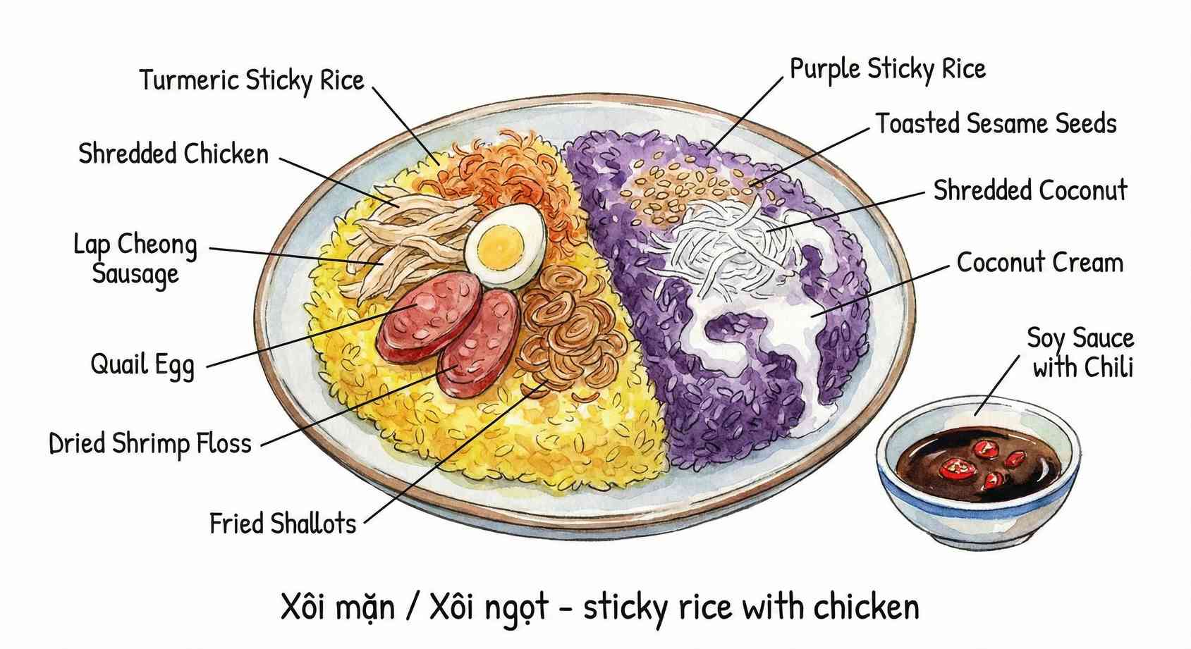 Xôi ingredients sketch